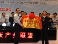 中國光伏產(chǎn)業(yè)聯(lián)盟成立大會在常州舉行