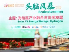 新年展新“綠”，“綠電”制氫加速！ SNEC氫能產(chǎn)業(yè)聯(lián)盟2022(第一季度)頭腦風(fēng)暴隆重舉行