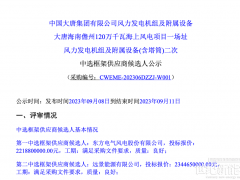 22億！大唐海南120萬(wàn)千瓦（600MW）海上項(xiàng)目風(fēng)機(jī)采購(gòu)開(kāi)標(biāo)