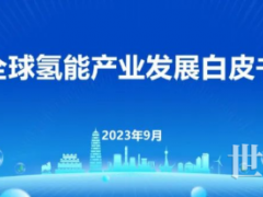 228個(gè)大型氫能項(xiàng)目已宣！全球氫能產(chǎn)業(yè)發(fā)展白皮書發(fā)布