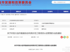 大連：未按計劃實施、進展緩慢、提供虛假材料等氫能綜合利用示范項目 將撤銷認定！