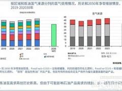 IEA：全球氫能需求今年將達(dá)1億噸！中國(guó)電解槽產(chǎn)能占八成！