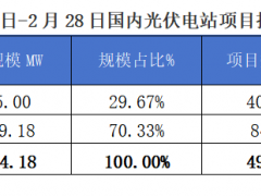 2025年2月1-28日EPC光伏項(xiàng)目情況分析報(bào)告