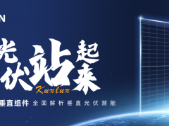 實(shí)證見真章！看異質(zhì)結(jié)垂直安裝如何釋放市場(chǎng)化電價(jià)紅利