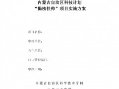 固態(tài)電池儲能系統(tǒng)度電成本≤0.2元/kWh！內蒙古儲能專項“揭榜掛帥”開啟申報