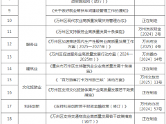 重慶萬(wàn)州區(qū)：支持民營(yíng)企業(yè)投建分布式光伏和儲(chǔ)能項(xiàng)目