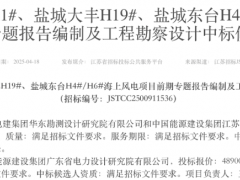1550MW！4個(gè)海上風(fēng)電項(xiàng)目開標(biāo)