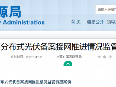 重磅！國家能源局通報11個省24項分布式光伏問題
