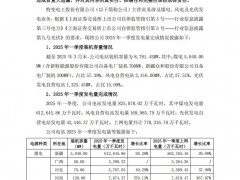 特變電工：截至一季度光伏發(fā)電自營電站發(fā)電量43446.37萬千瓦時(shí)