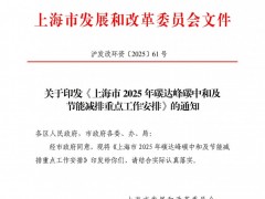 上海：推動(dòng)新型儲(chǔ)能、綠色燃料等產(chǎn)業(yè)高質(zhì)量發(fā)展