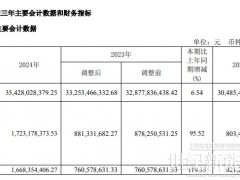 京能電力發(fā)布2024年年度報(bào)告，凈利潤17.23億