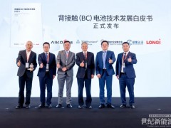 全球首份權(quán)威報告！《BC電池技術(shù)發(fā)展白皮書》重磅發(fā)布