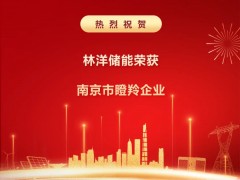 創(chuàng)新不止 奔跑不息 | 林洋儲能榮膺南京市瞪羚企業(yè)，厚植新質(zhì)生產(chǎn)力