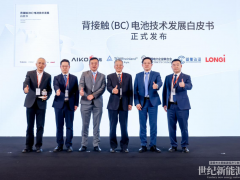 愛旭隆基煉成光伏“回春丹”，BC技術(shù)頂峰相見