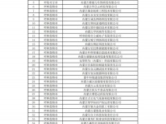 5家氫能企業(yè)入圍！內(nèi)蒙古公布2025年創(chuàng)新型中小企業(yè)名單！