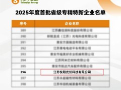 高光時(shí)刻 | 陽(yáng)光能源悅陽(yáng)基地榮膺2025年度首批省級(jí)專精特新企業(yè)
